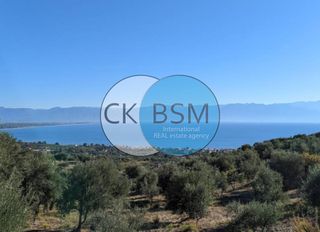Οικόπεδο 4.500 τ.μ. προς πώληση, Κέντρο Πεταλιδίου-thumb-4