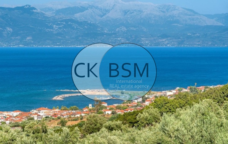 Οικόπεδο 4.500 τ.μ. προς πώληση, Κέντρο Πεταλιδίου