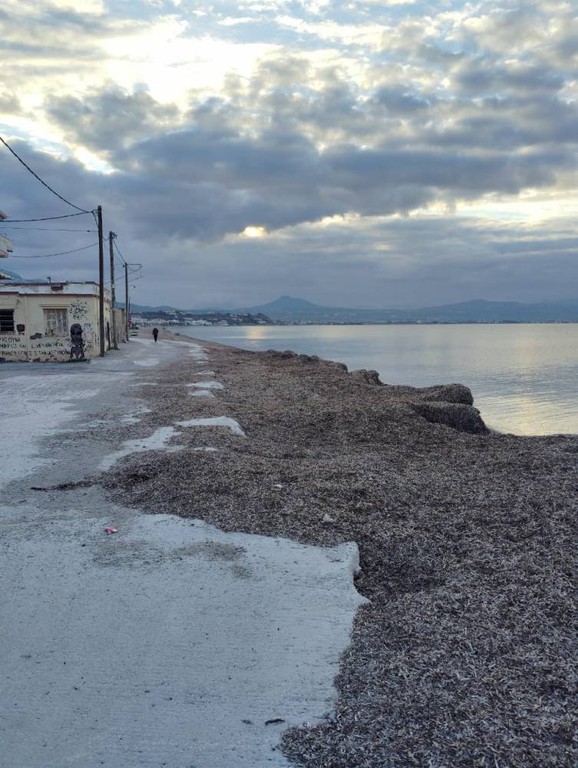 Οικόπεδο 227 τ.μ. πρός πώληση, Κορινθία, Κόρινθος