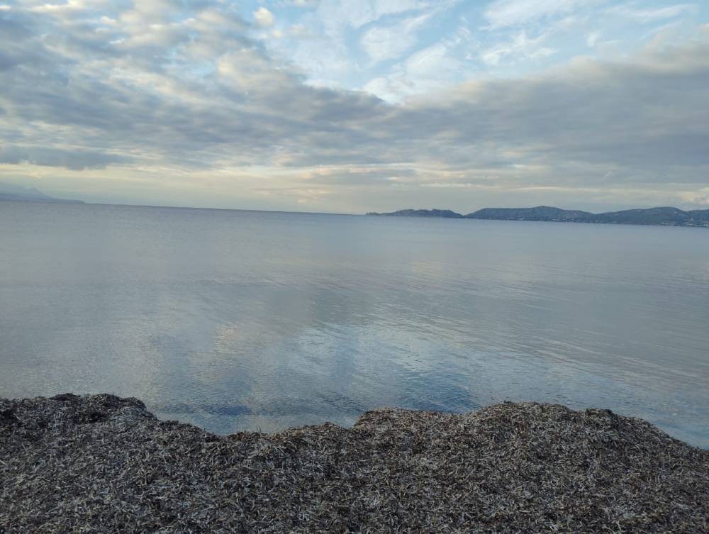 Οικόπεδο 227 τ.μ. πρός πώληση, Κορινθία, Κόρινθος
