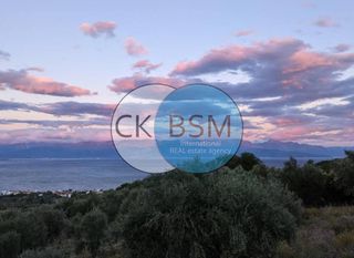 Οικόπεδο 9.000 τ.μ. προς πώληση, Κέντρο Πεταλιδίου-thumb-7