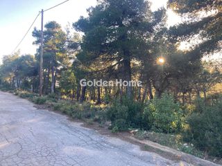 Οικόπεδο 1.030 τ.μ. για πώληση