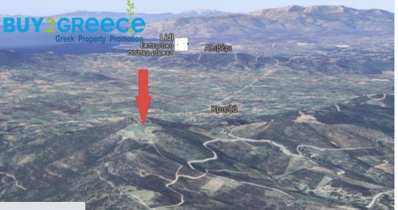 Οικόπεδο 25.000 τ.μ. προς πώληση, Κύμη Εύβοιας