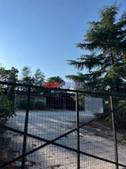 Βιομηχανικός χώρος 7.500 τ.μ. για πώληση