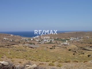 Αγροτεμάχια 59.000 τ.μ. για πώληση