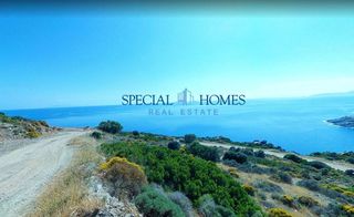 Οικόπεδο 59.000 τ.μ. για πώληση, Εύβοια, Κάρυστος-thumb-1
