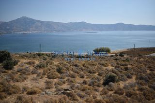 Οικόπεδο 59.000 τ.μ. για πώληση, Εύβοια, Κάρυστος-thumb-7