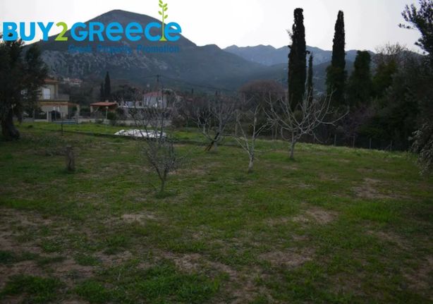 Οικόπεδο 1.500 τ.μ. για πώληση, Εύβοια, Κύμη