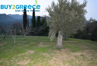 Οικόπεδο 1.500 τ.μ. για πώληση, Εύβοια, Κύμη-thumb-2