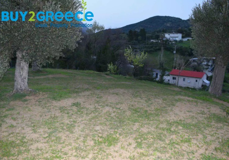 Οικόπεδο 1.500 τ.μ. προς πώληση, Κύμη Εύβοιας