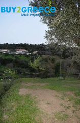 Οικόπεδο 1.500 τ.μ. για πώληση, Εύβοια, Κύμη-thumb-3