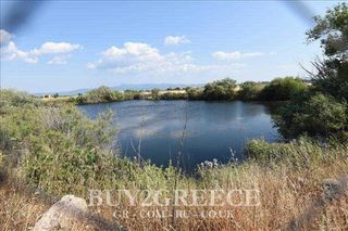 Αγροτεμάχια 32.366 τ.μ. για πώληση