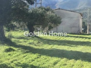 Οικόπεδο 1.442 τ.μ. για πώληση