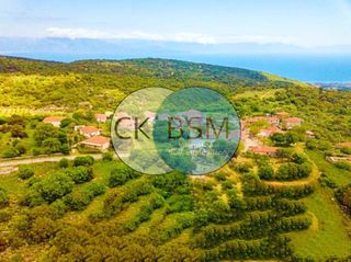 Οικόπεδο 4.652 τ.μ. προς πώληση, Κέντρο Πεταλιδίου-thumb-2