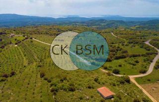 Οικόπεδο 4.530 τ.μ. για πώληση, Μεσσηνία, Πεταλίδι-thumb-1
