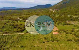 Οικόπεδο 4.530 τ.μ. για πώληση, Μεσσηνία, Πεταλίδι-thumb-2