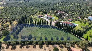 Οικόπεδο 4.040 τ.μ. πρός πώληση, Μεσσηνία, Κυπαρισσία-thumb-1