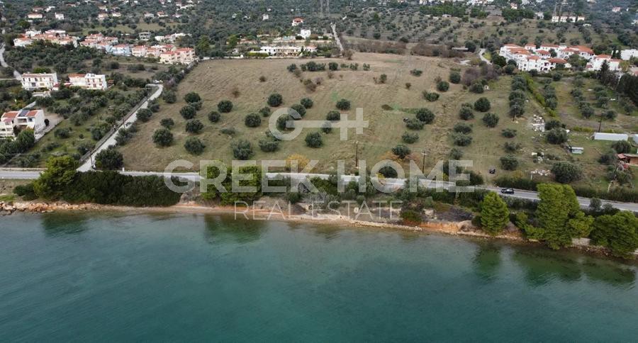 Parcel 74.557 sqm for sale, Evia, Eretria