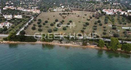 Αγροτεμάχια 74.557 τ.μ. προς πώληση