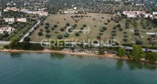 Αγροτεμάχια 74.557 τ.μ. για πώληση