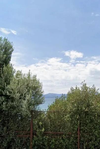 Parcel 74.557 sqm for sale, Evia, Eretria