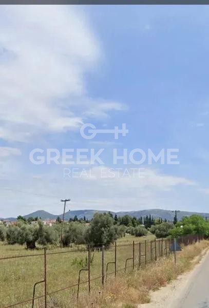 Parcel 74.557 sqm for sale, Evia, Eretria