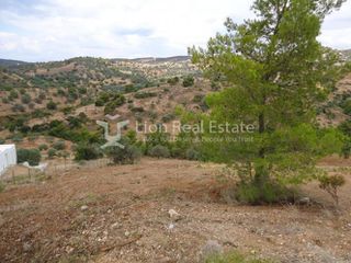 Οικόπεδο 6.000 τ.μ. προς πώληση, Πορτοχέλι-thumb-5