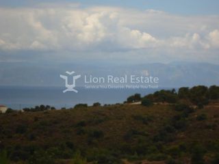Οικόπεδο 6.000 τ.μ. προς πώληση, Πορτοχέλι-thumb-7