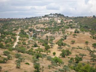Οικόπεδο 6.000 τ.μ. προς πώληση, Πορτοχέλι-thumb-6