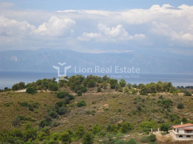 Οικόπεδο 6.000 τ.μ. προς πώληση, Πορτοχέλι