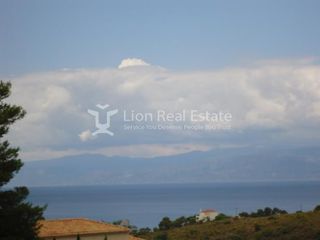 Οικόπεδο 6.000 τ.μ. προς πώληση, Πορτοχέλι-thumb-3