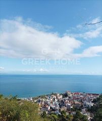 Οικόπεδο 6.500 τ.μ. για πώληση
