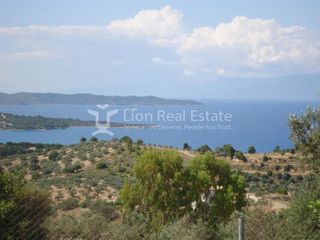 Οικόπεδο 4.000 τ.μ. για πώληση
