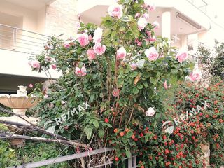 Διαμέρισμα 78 τ.μ. για πώληση, Αργολίδα, Λέρνα-thumb-28
