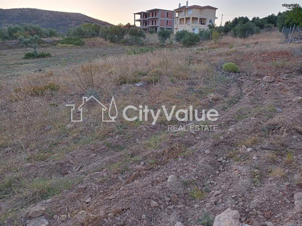 Οικόπεδο 5.000 τ.μ. πρός πώληση, Αττική - Υπόλοιπο, Πολυδένδρι