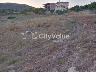 Οικόπεδο 5.000 τ.μ. προς πώληση