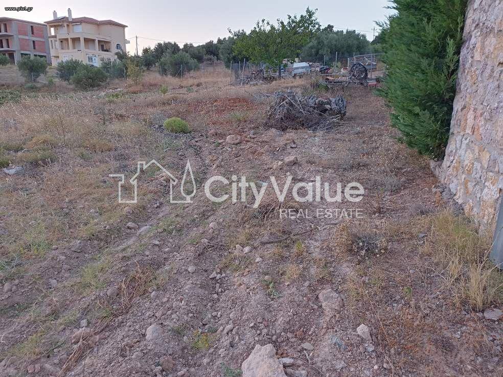 Οικόπεδο 5.000 τ.μ. πρός πώληση, Αττική - Υπόλοιπο, Πολυδένδρι