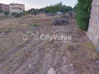 Οικόπεδο 5.000 τ.μ. προς πώληση, Πολυδένδρι Αττικής-thumb-1