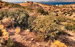 Οικόπεδο 440 τ.μ. για πώληση, Εύβοια, Κάρυστος-thumb-5