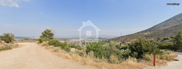 Parcel 19.000 sqm for sale, Athens - East, Paiania