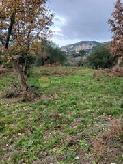 Αγροτεμάχια 4.173 τ.μ. για πώληση