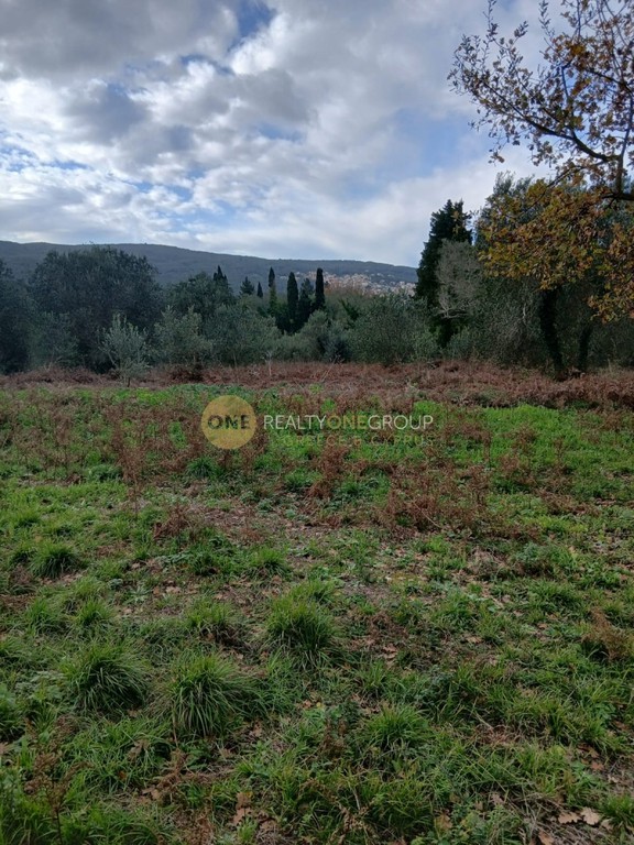 Αγροτεμάχια 4.173 τ.μ. πρός πώληση, Ν. Κέρκυρας, Κέρκυρα