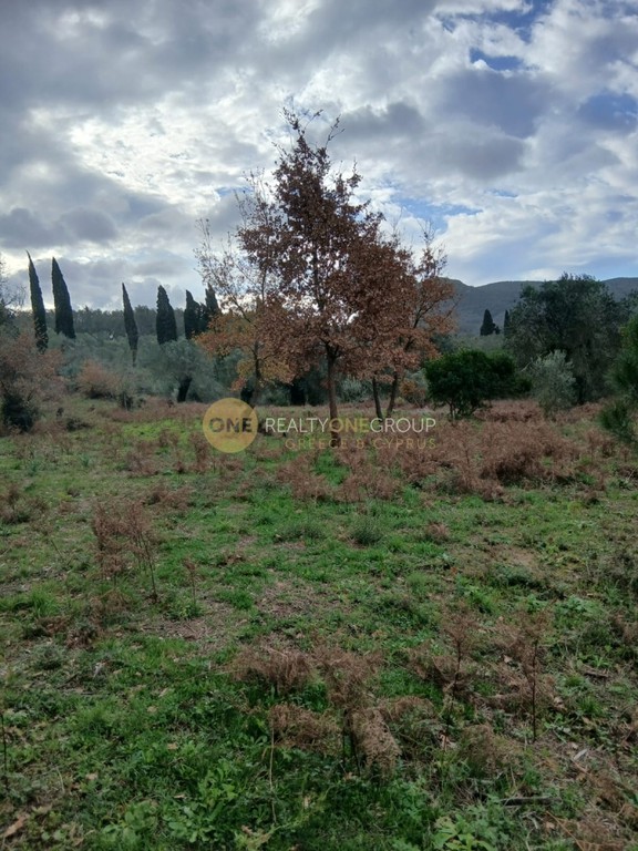 Αγροτεμάχια 4.173 τ.μ. πρός πώληση, Ν. Κέρκυρας, Κέρκυρα