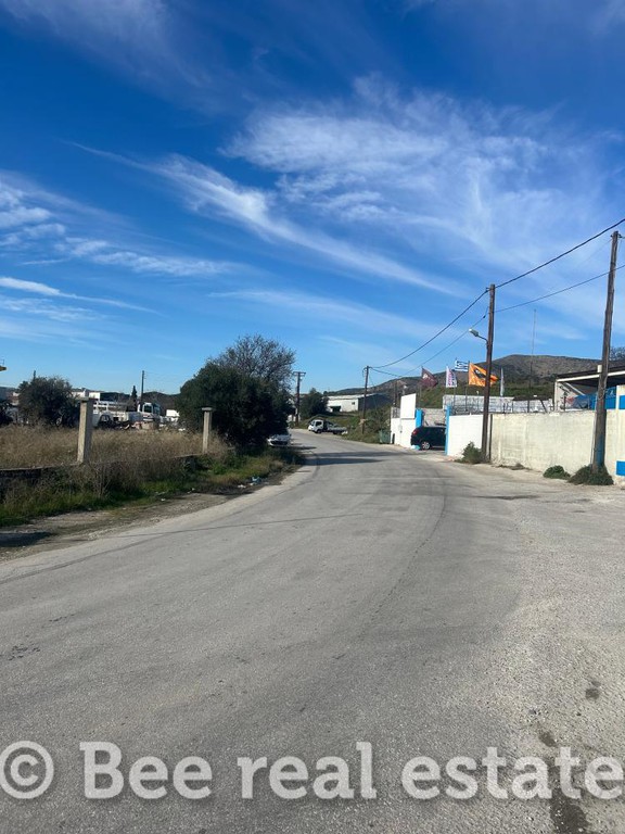 Οικόπεδο 7.000 τ.μ. πρός πώληση, Μαγνησία, Αισωνία