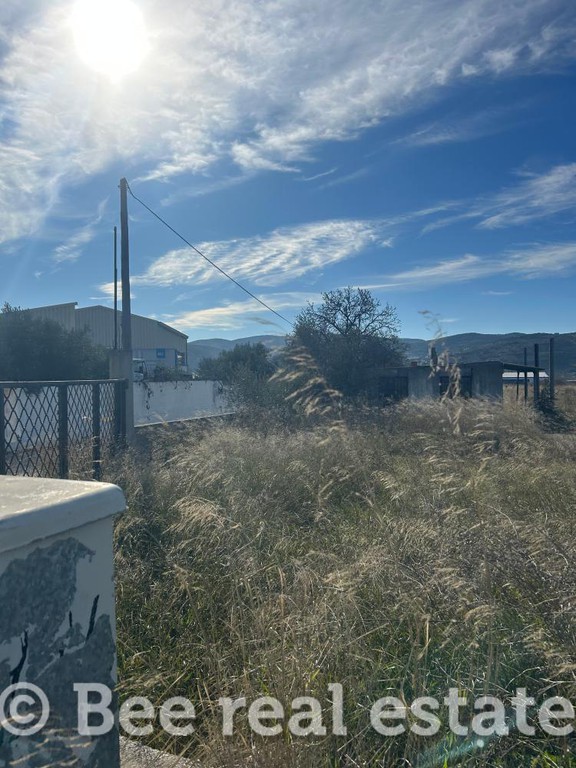 Οικόπεδο 7.000 τ.μ. πρός πώληση, Μαγνησία, Αισωνία
