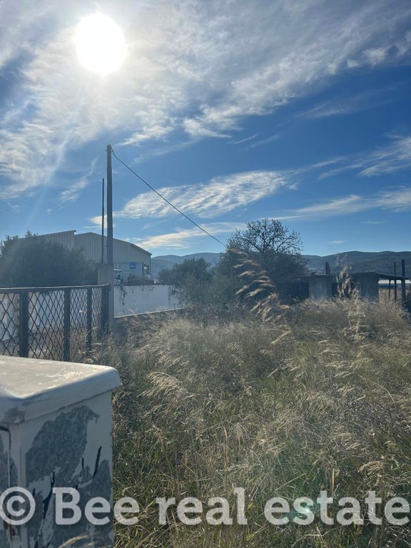 Οικόπεδο 7.000 τ.μ. πρός πώληση, Μαγνησία, Αισωνία