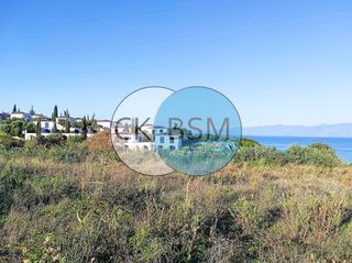 Οικόπεδο 30.000 τ.μ. για πώληση, Μεσσηνία, Πεταλίδι-thumb-11