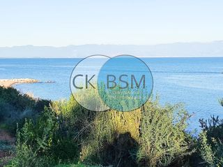 Οικόπεδο 30.000 τ.μ. για πώληση, Μεσσηνία, Πεταλίδι-thumb-7