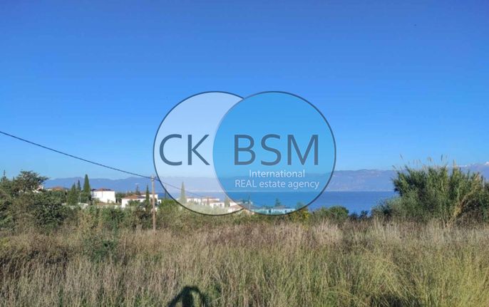 Οικόπεδο 30.000 τ.μ. για πώληση, Μεσσηνία, Πεταλίδι