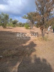 Οικόπεδο 500 τ.μ. για πώληση, Εύβοια, Ερέτρια-thumb-1